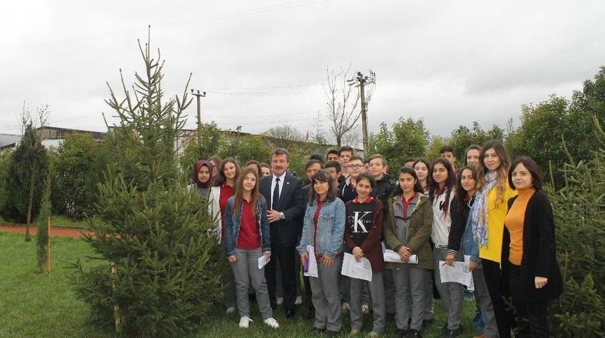 Başkan Çelik’e Ağaç Jesti