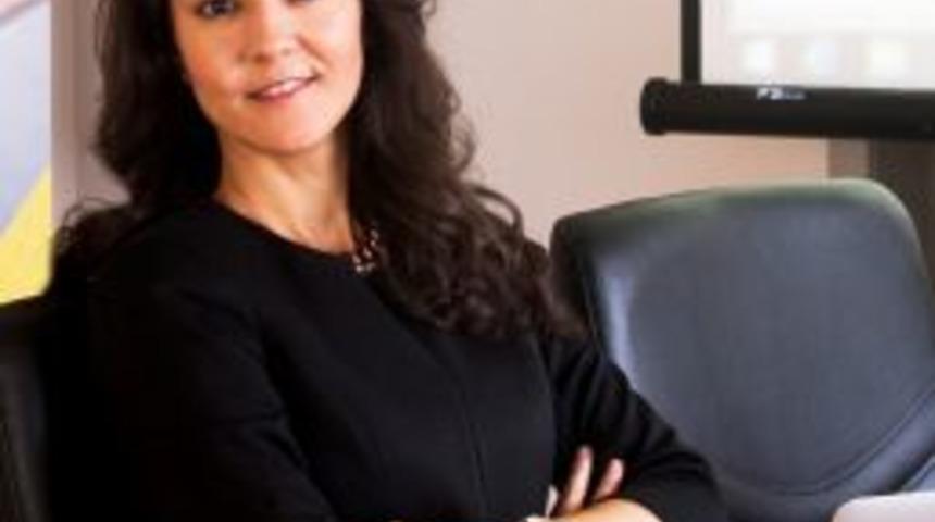 Kiralanan Ara&ccedil; Sayıları Her Yıl Artıyor