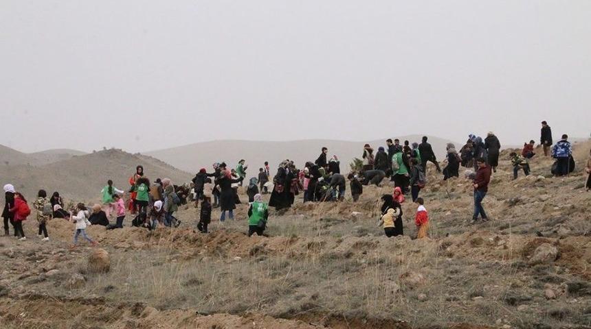 Yetim Çocuklar, Babaları Adına Fidan Dikti