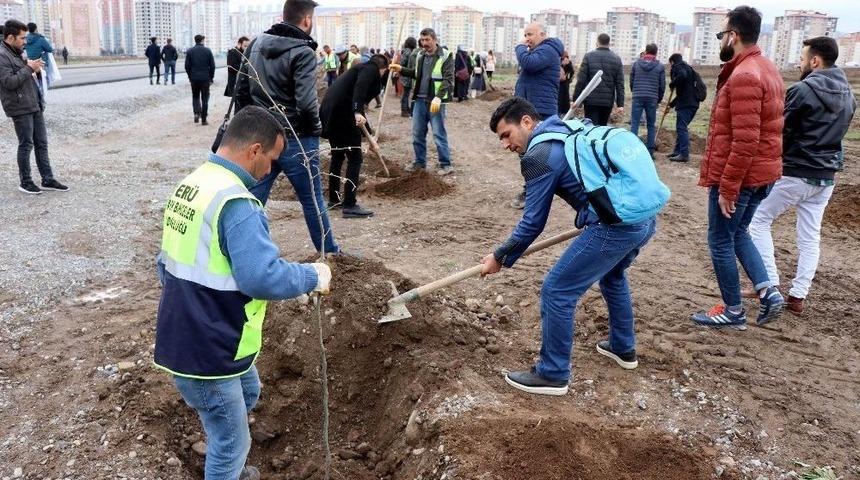 &Ouml;ğrenciler Afrin Ve El Bab Şehitleri İ&ccedil;in Ağa&ccedil; Dikti