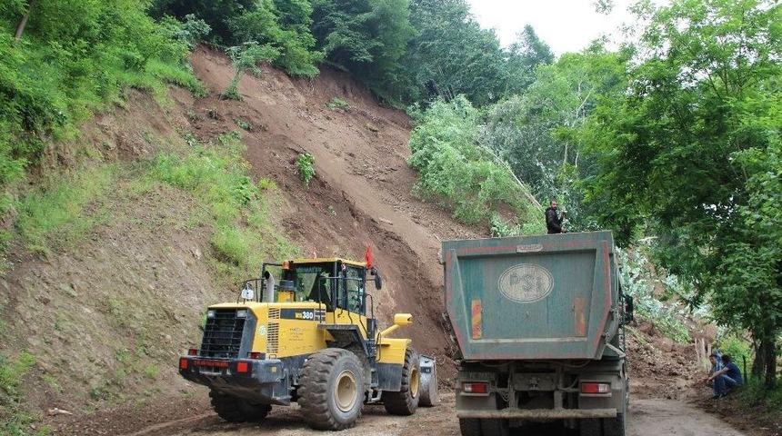 Tonlarca Toprak Yola İndi, Ağa&ccedil;lar K&ouml;k&uuml;nden S&ouml;k&uuml;ld&uuml;