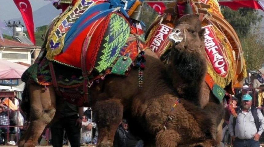 Develer Koçarlıspor İçin Güreşti