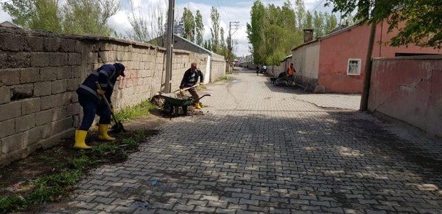 Ağrı Belediyesi Çalışmalarına Hız Verdi