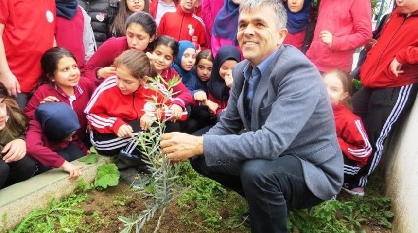 Biga’da Öğrenciler Fidan Dikti