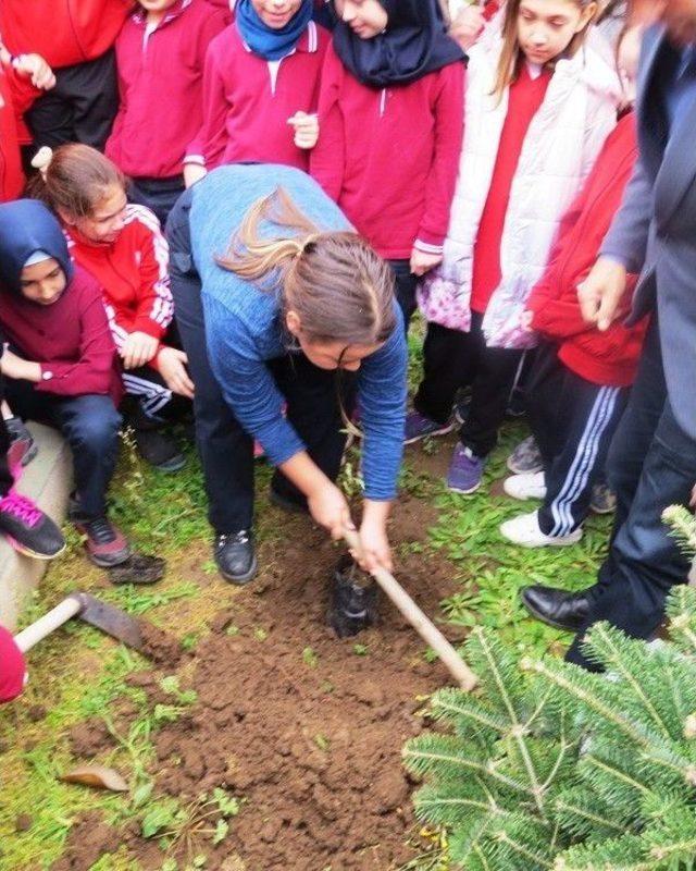 Biga’da Öğrenciler Fidan Dikti