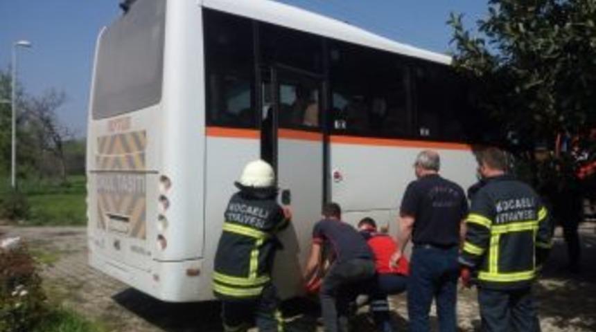 Park Halindeki Duman &Ccedil;ıkan Midib&uuml;s, Paniğe Neden Oldu