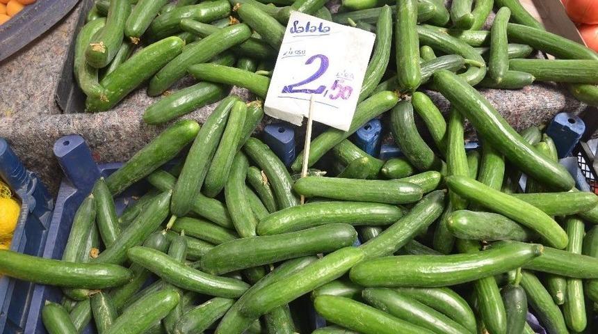 Salatalık Fiyatları El Yakıyor