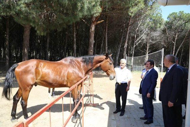 Vali Tavlı, Kabatepe Jandarma Karakolunu İnceledi