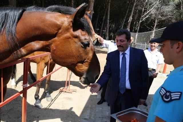 Vali Tavlı, Kabatepe Jandarma Karakolunu İnceledi