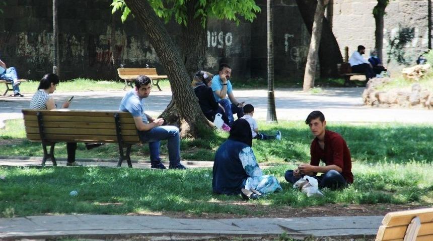 Sıcaklar Bastırınca G&ouml;lge Sığınak Oldu