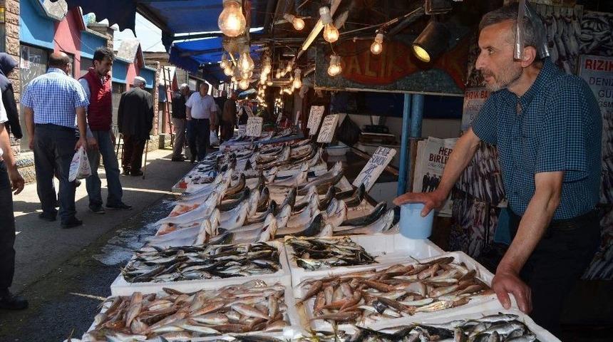 Trabzon&rsquo;da Balık Fiyatları Ge&ccedil;en Yılın Aynı D&ouml;nemine G&ouml;re Y&uuml;zde 50 Arttı