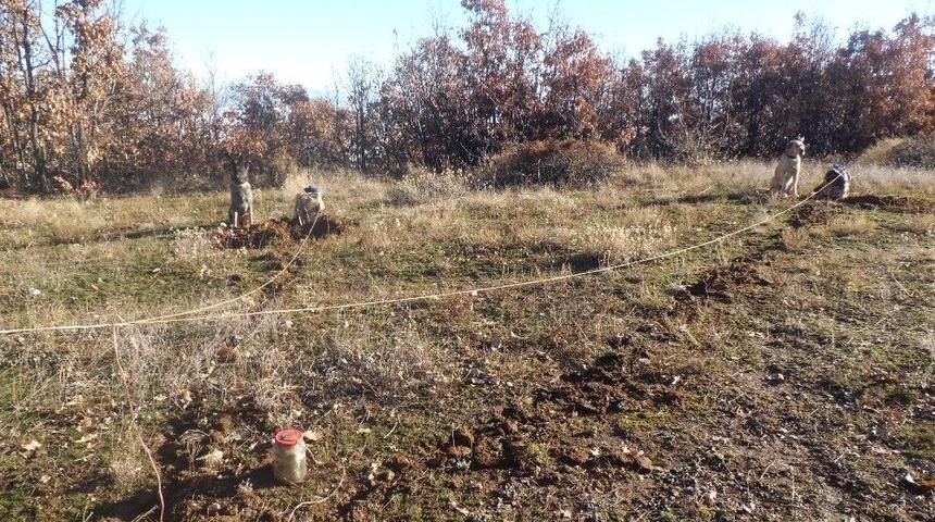 Bing&ouml;l&rsquo;de 3&rsquo;&uuml; Tuzaklanmış 6 Adet Patlayıcı Ele Ge&ccedil;irildi