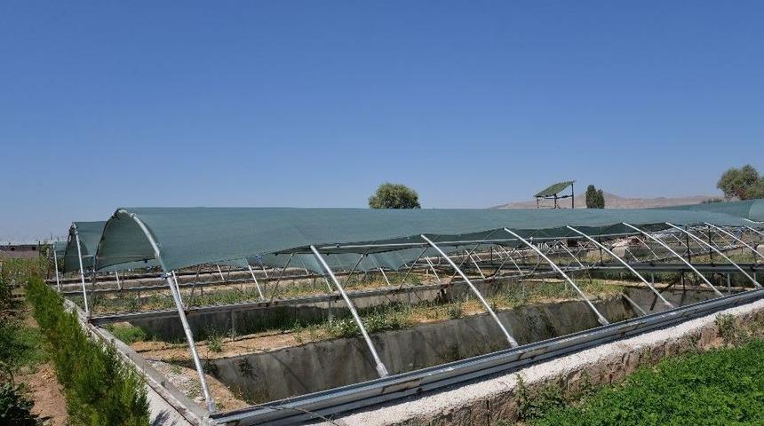 Kayseri&rsquo;de &Uuml;rettiği S&uuml;l&uuml;kleri D&uuml;nyaya Pazarlıyor