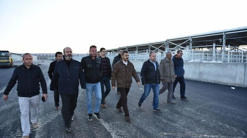 Başkan Külcü Hayvan Pazarını İnceledi
