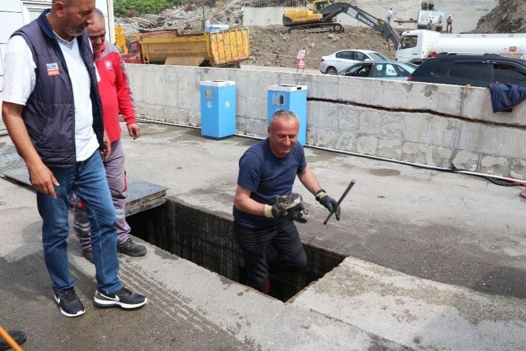 (&ouml;zel) Yolcu Otob&uuml;s&uuml; Yavru Kedi İ&ccedil;in Bir Saat R&ouml;tarlı Kalktı