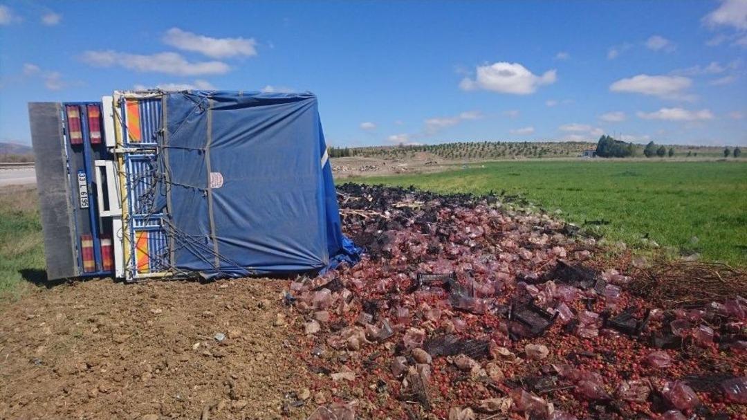 İn&ouml;n&uuml;&rsquo;de &Ccedil;ilek Y&uuml;kl&uuml; Tır Devrildi