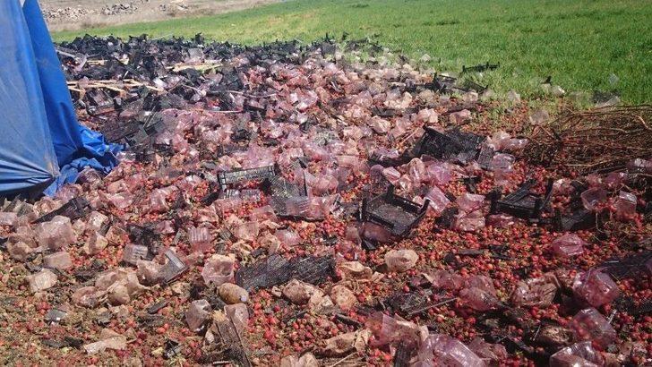 İnönü’de Çilek Yüklü Tır Devrildi G2