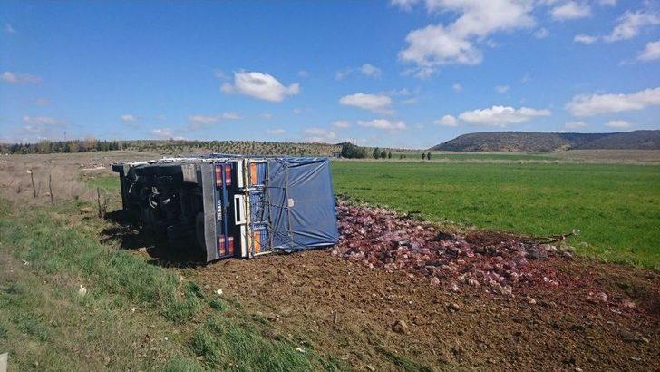 İnönü’de Çilek Yüklü Tır Devrildi G4