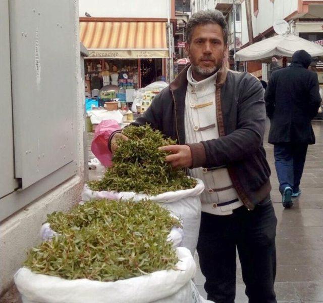 Madımak Tezgahlarda Yerini Aldı