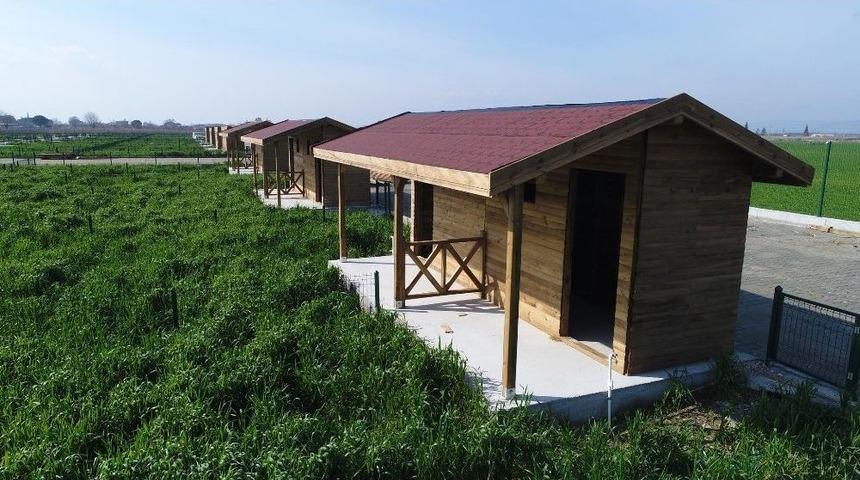 Hobi Bah&ccedil;elerinde Son G&uuml;n 2 Nisan