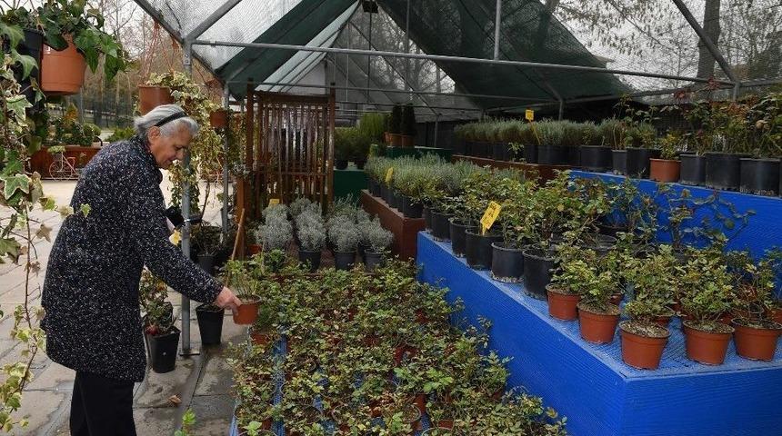 Başkent&rsquo;in &Ccedil;i&ccedil;ek &Uuml;retim Merkezi: Anfa