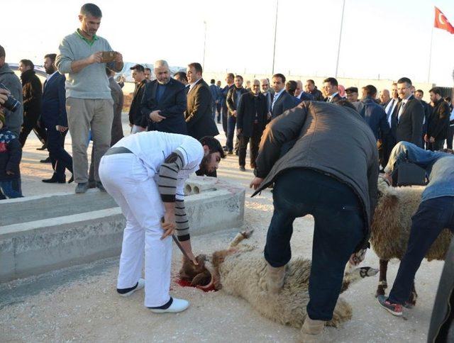 Bakan Tüfenkci Çobanbey Sınır Kapısı’nda İncelemelerde Bulundu