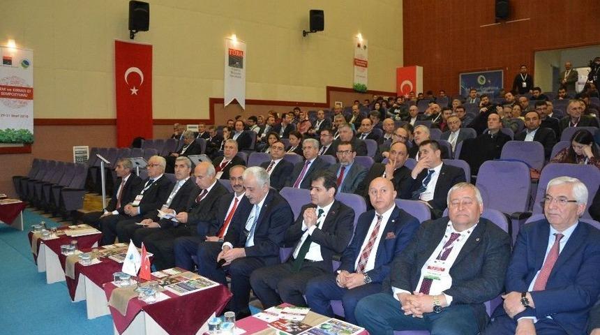 Kırşehir&rsquo;de Yem Ve Kırmızı Et Sempozyumu