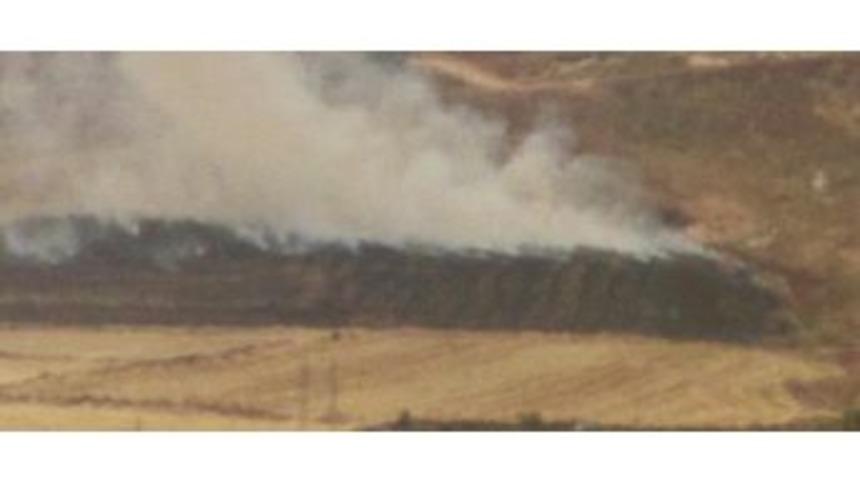 Araban&rsquo;da Arpa Ekili Arazide Anız Yangını Korkuttu