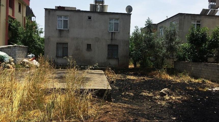 Yılan Korkusu Bir Mahalleyi Yakacaktı