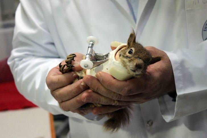 Sincap Karamel Protez Kollarına Kavuştu G3