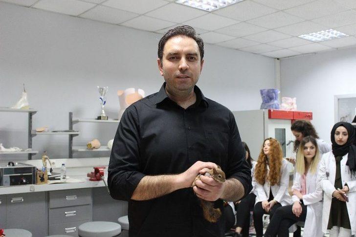 Sincap Karamel Protez Kollarına Kavuştu G4