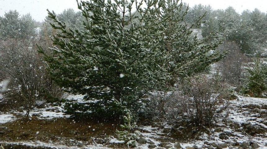 Posof’ta Kar Yağışı