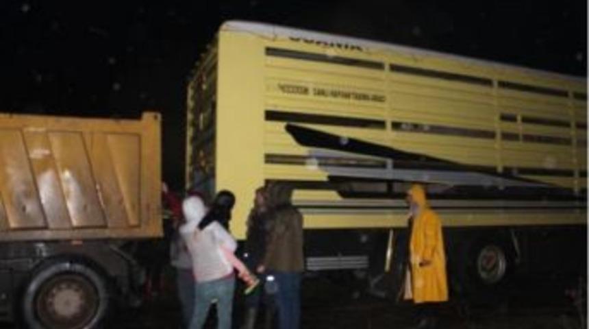 Gen&ccedil; &Ccedil;ift&ccedil;i Projesi Kapsamında K&uuml;&ccedil;&uuml;kbaş Hayvan Dağıtımı Yapıldı