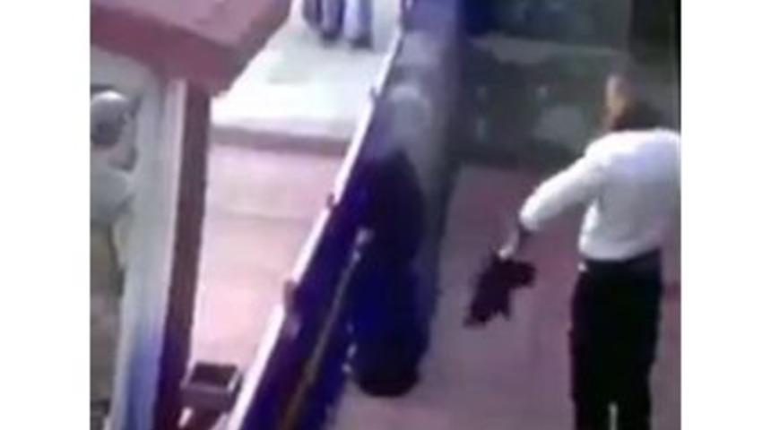 Kediye Yapılan İşkenceye Tepki Yağdı