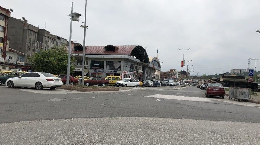 D&uuml;nya&rsquo;nın En Yaşlı Ağacı İ&ccedil;in Y&ouml;n Tabelası İstediler