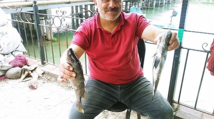 Balık&ccedil;ıların Ağına Taş Balığı Olarak Bilinen Ekşina Takıldı