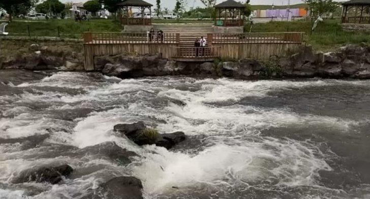 İnci Kefali Balığının Göç Serüveni Devam Ediyor G1