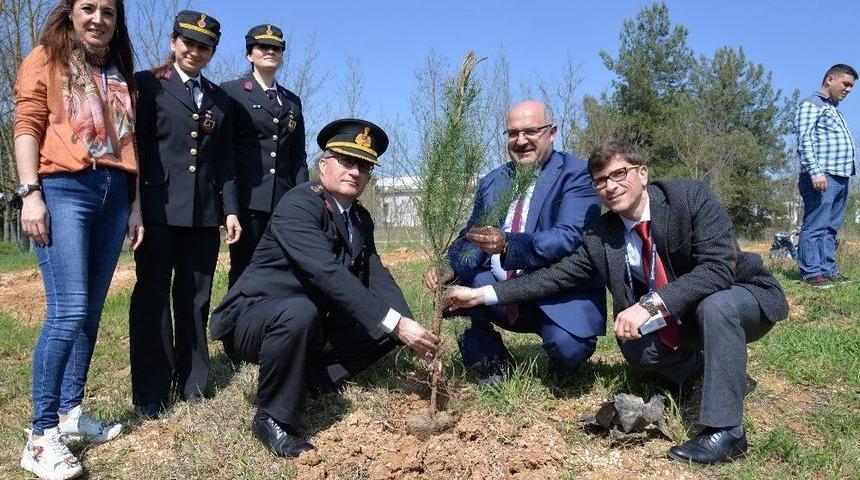 &Uuml;niversiteliler Afrin Kahramanlarına Mektup Yazdı, Şehitler İ&ccedil;in Fidan Dikti