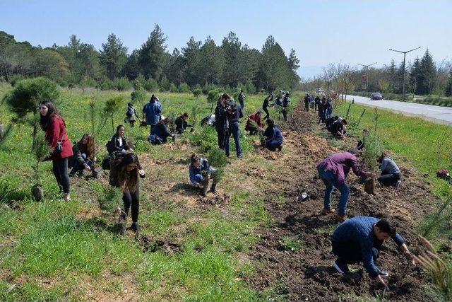 Üniversiteliler Afrin Kahramanlarına Mektup Yazdı, Şehitler İçin Fidan Dikti