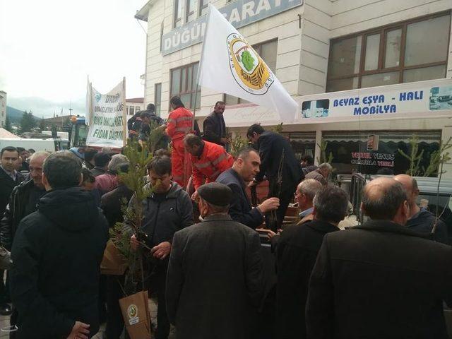 Daday’da Vatandaşlara 2 Bin Fidan Dağıtıldı