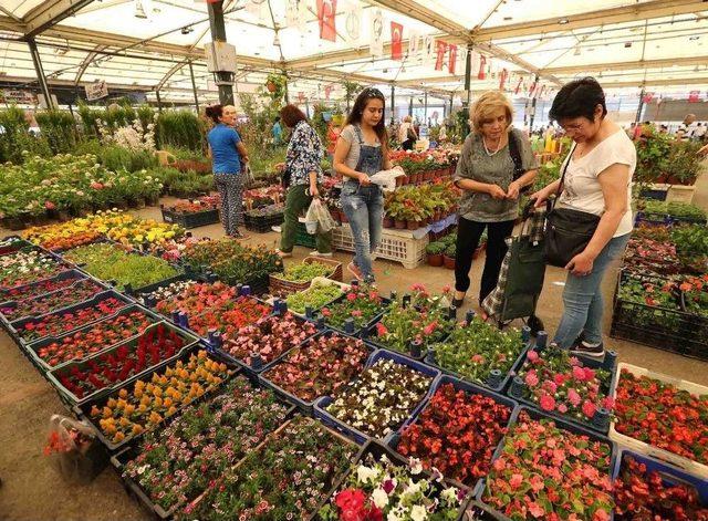 Karşıyaka Çiçek Festivali’ne 40 Bin Ziyaretçi