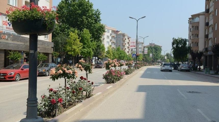 İneg&ouml;l Caddeleri &Ccedil;i&ccedil;ek A&ccedil;ıyor