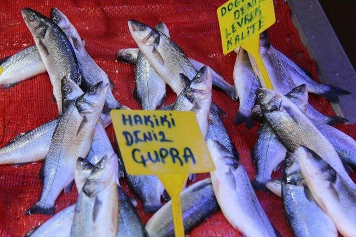 Ramazan, Balıkçıların Da Yüzünü Güldürdü G5