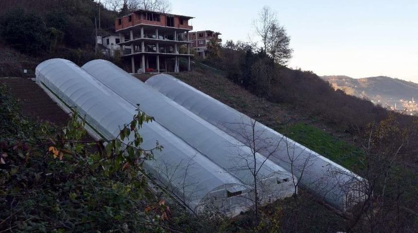 Dik Yama&ccedil;ta Sera Olur Mu Demeyin