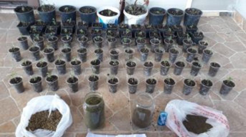 Sakarya&rsquo;da Uyuşturucu Operasyonu