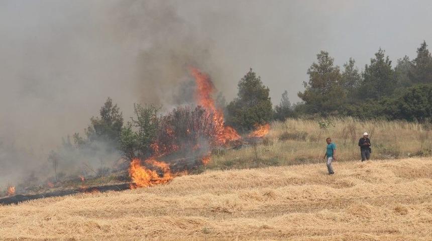 Anız Yangını Ormana Sı&ccedil;radı (1)