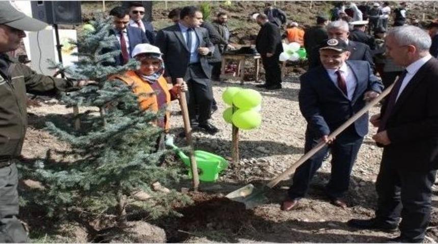 Bartın&rsquo;da Bin 322 Adet Fidan Toprakla Buluştu