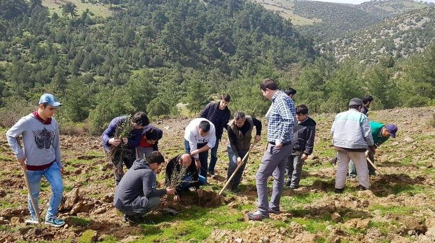 Yaban Hayatına Meyve Fidanları İle Destek