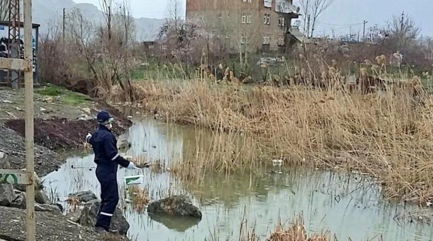 Huzurlu Bir Yaz İçin Haşere İle Mücadele