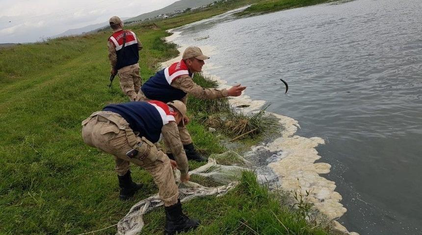 Van&rsquo;da Ka&ccedil;ak Avlanmış İnci Kefali Operasyonu